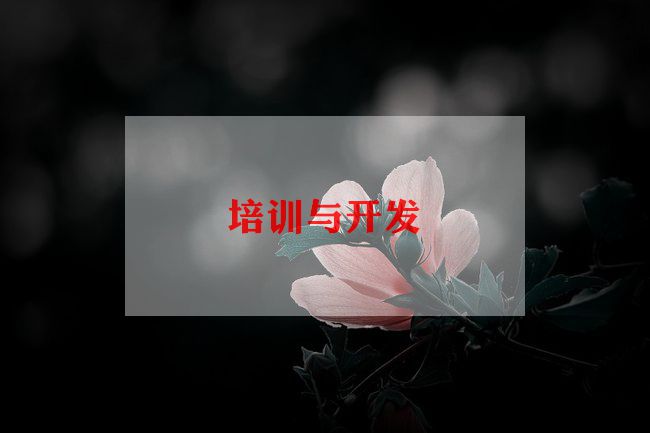 培训工作总结范文推荐5篇