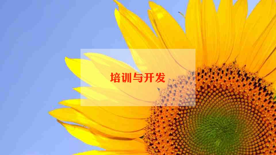 幼儿舞蹈培训心得8篇