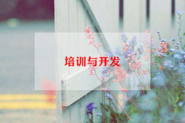 2023年教师假期培训心得7篇