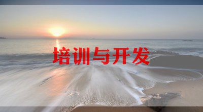 幼儿教师业务能力培训总结8篇