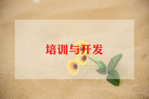 文化培训心得体会7篇