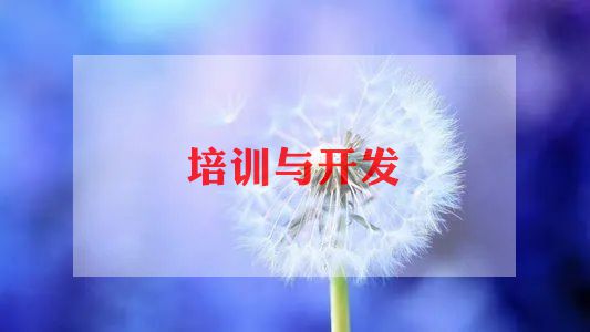 信息技术能力提升2.0培训总结6篇