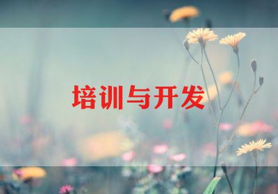 2023年新教师培训总结5篇