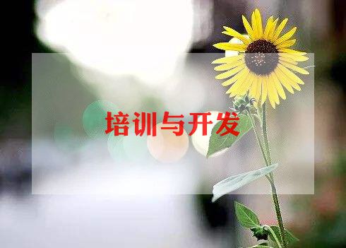 去小学化培训总结参考6篇