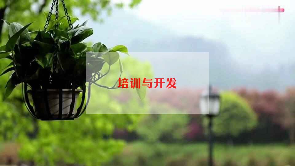 院内专科护士培训年度总结6篇