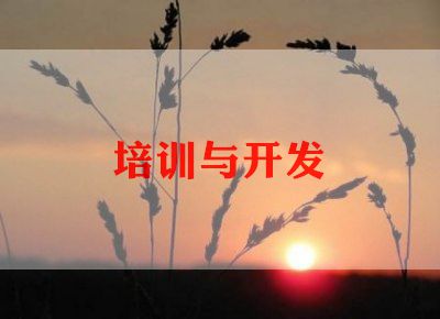 公司培训500字心得体会7篇