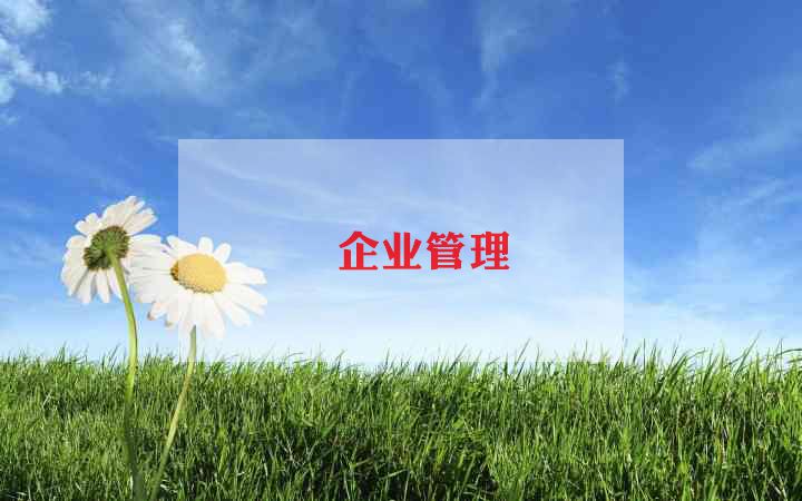 企业领导的工作计划7篇