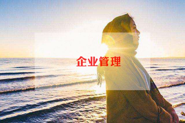2024年企业工作计划模板8篇