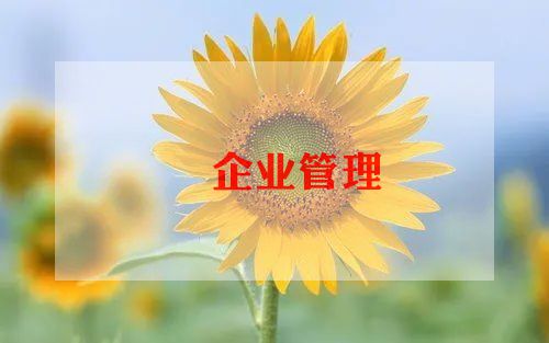 企业办公室半年总结6篇
