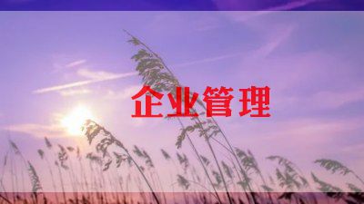 2024年企业总结报告模板6篇