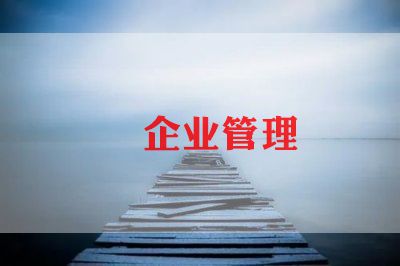 2024年企业总结报告优质6篇