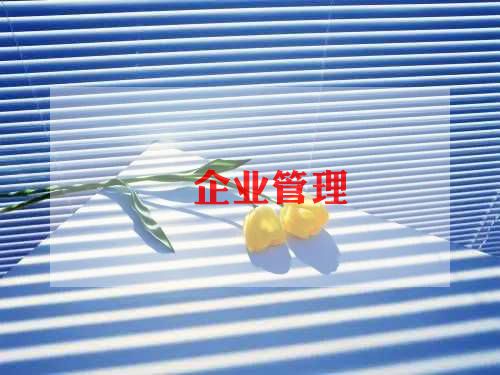 2023年企业的工作计划7篇