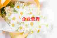 企业2024年工作总结范文参考6篇