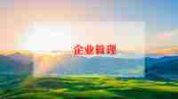 企业试用期工作总结通用5篇