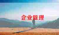 企业个人年终总结范文5篇