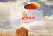 企业管理的实践报告5篇