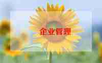 2024企业个人工作总结参考5篇