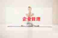 企业试用期工作总结6篇