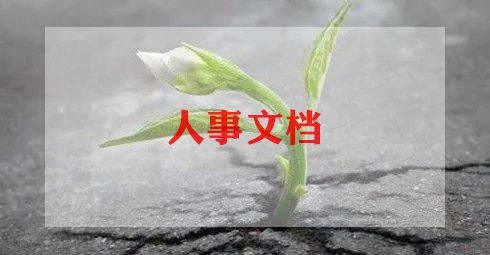 求职的心得体会优质5篇