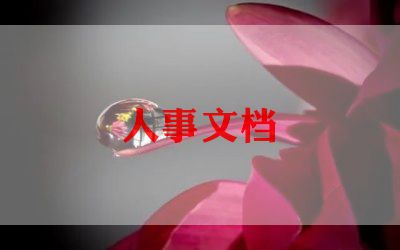 人力个人工作总结最新5篇