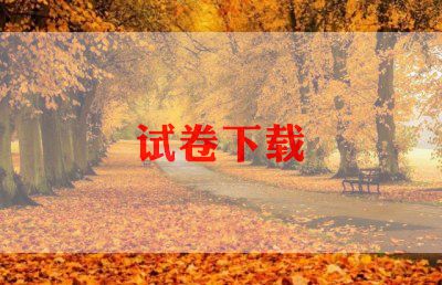 以春节为主题的作文5篇