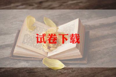 关于合作精神的优质作文5篇