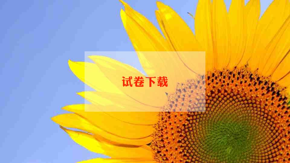 发试卷的作文通用8篇