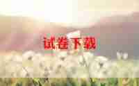 我的期中总结作文5篇