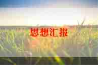 会议汇报总结7篇