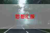 公司汇报材料8篇