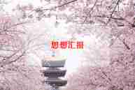 2024年发挥党员先锋模范作用思想汇报7篇