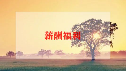 薪酬年终总结6篇