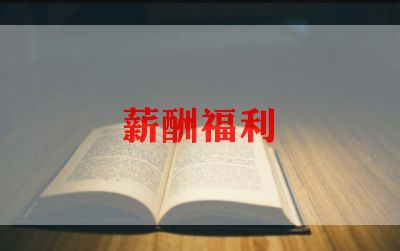 实用版薪酬管理工作计划5篇
