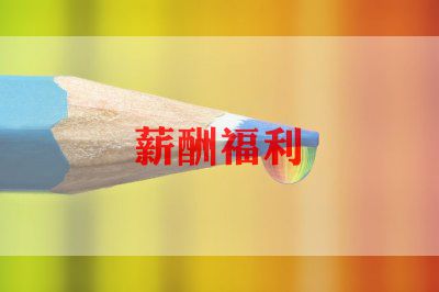 工资工作总结7篇