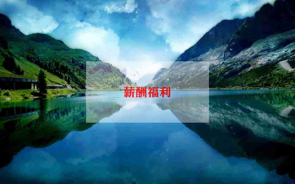 企业薪酬调查报告范文6篇