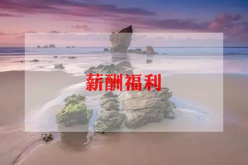 薪酬年终总结6篇