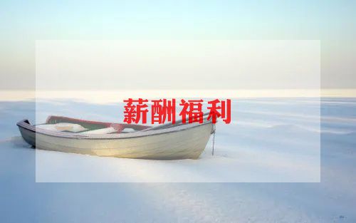 各公司薪酬调研报告6篇