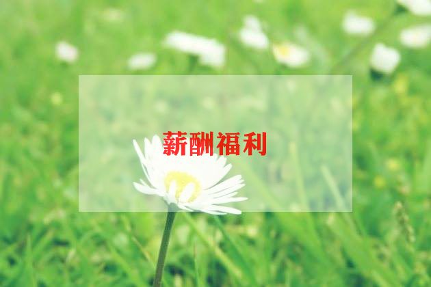 2023薪酬工作计划范文5篇