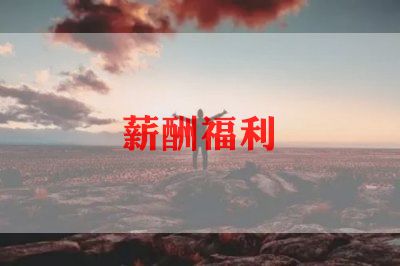 薪酬福利组工作总结5篇