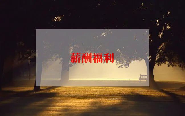 员工工资薪酬方案5篇