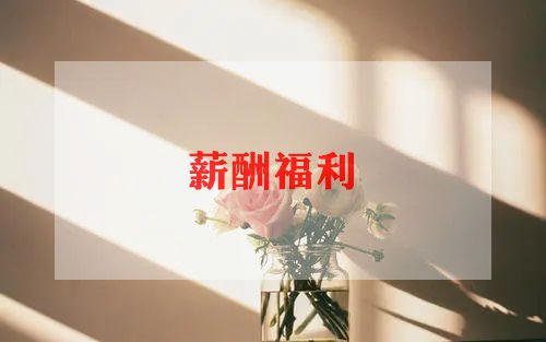 申请员工福利的申请书8篇
