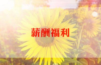 社会福利报告5篇