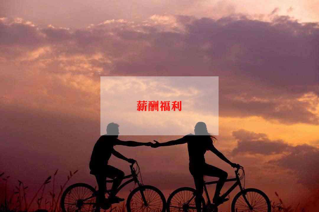 薪酬方案范文7篇