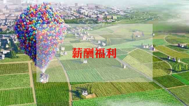 薪酬管理工作计划怎么写3篇