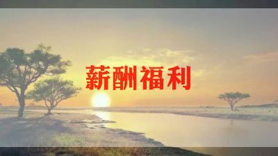 工资岗的工作总结7篇