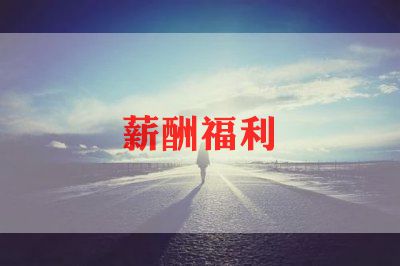 工资股工作总结优质8篇