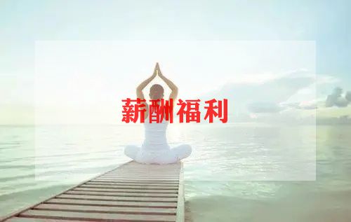 薪酬岗年度工作总结5篇