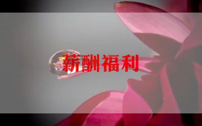 薪酬薪酬调查报告8篇