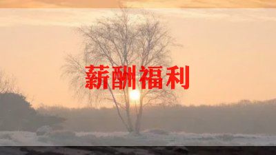 2024福利院工作总结8篇
