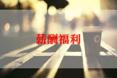 薪酬年终总结6篇